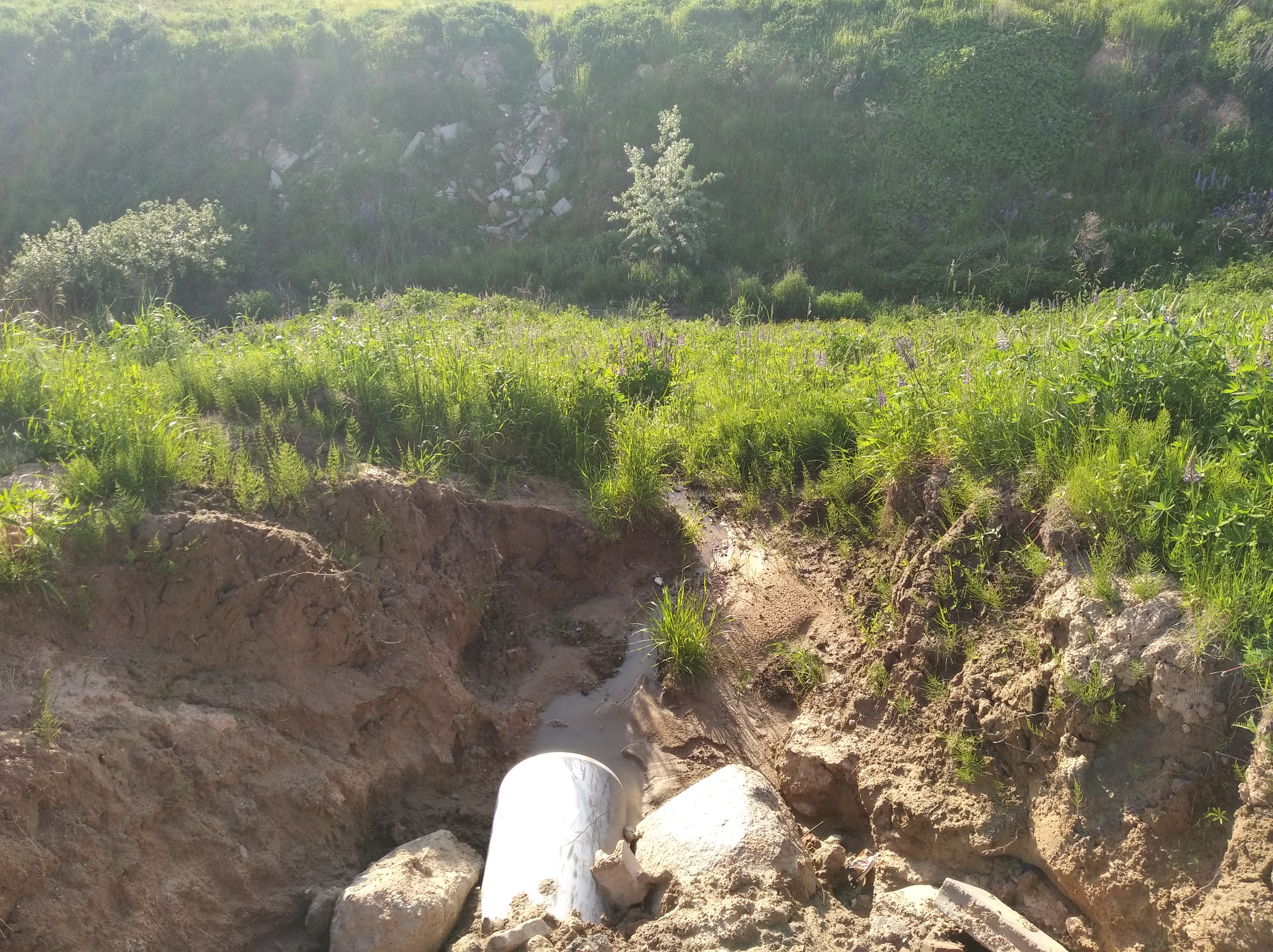 ÐÑÐ³Ð»ÑÐ´ ÑÑÑÐºÐ°Ð²Ð°Ð¹ ÑÑÑÐ±Ñ Ð½ÐµÐºÐ°Ð»ÑÐºÑÑ Ð´Ð°Ð¼Ð¾Ñ Ñ ÐÑÑÑÐ°ÑÐºÑ. Ð¤Ð¾ÑÐ° Ð°ÑÑÐ°ÑÐ°, 2020 Ð³Ð¾Ð´