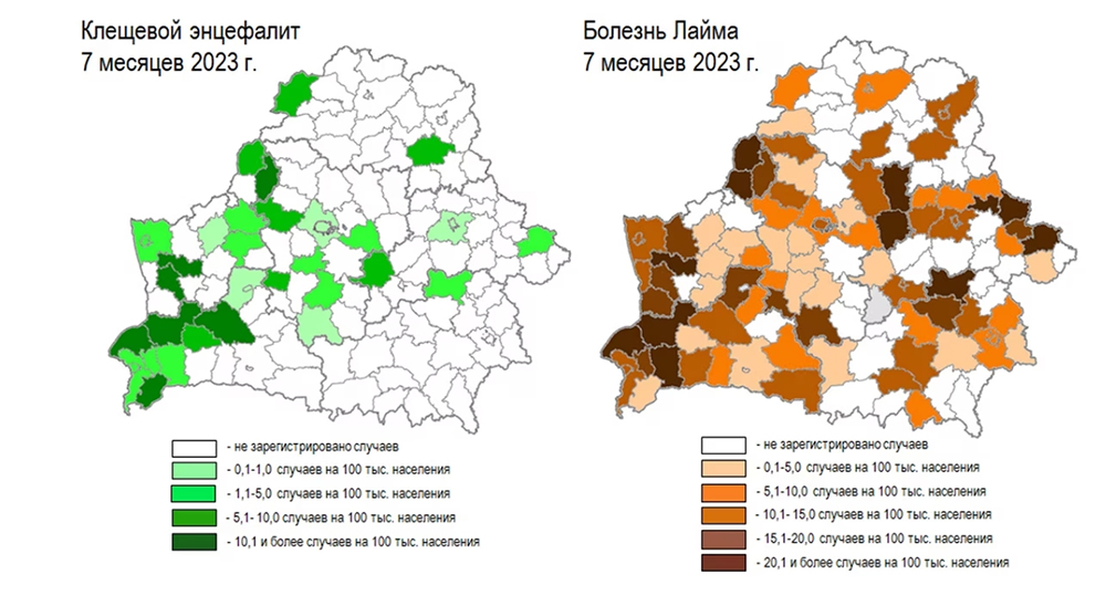 ÐÐ½ÑÐ¾Ð³ÑÐ°ÑÐ¸ÐºÐ° rcheph.by