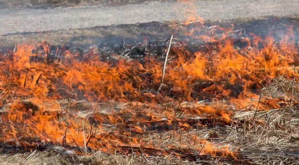 ÐÐ°Ð»Ñ ÑÑÐ°Ð²Ñ Ð¾ÑÑÐ°ÑÑÑÑ Ð³Ð»Ð°Ð²Ð½Ð¾Ð¹ Ð¿ÑÐ¸ÑÐ¸Ð½Ð¾Ð¹ Ð¿ÑÐ¸ÑÐ¾Ð´Ð½ÑÑ Ð¿Ð¾Ð¶Ð°ÑÐ¾Ð² Ð² ÐÐµÐ»Ð°ÑÑÑÐ¸