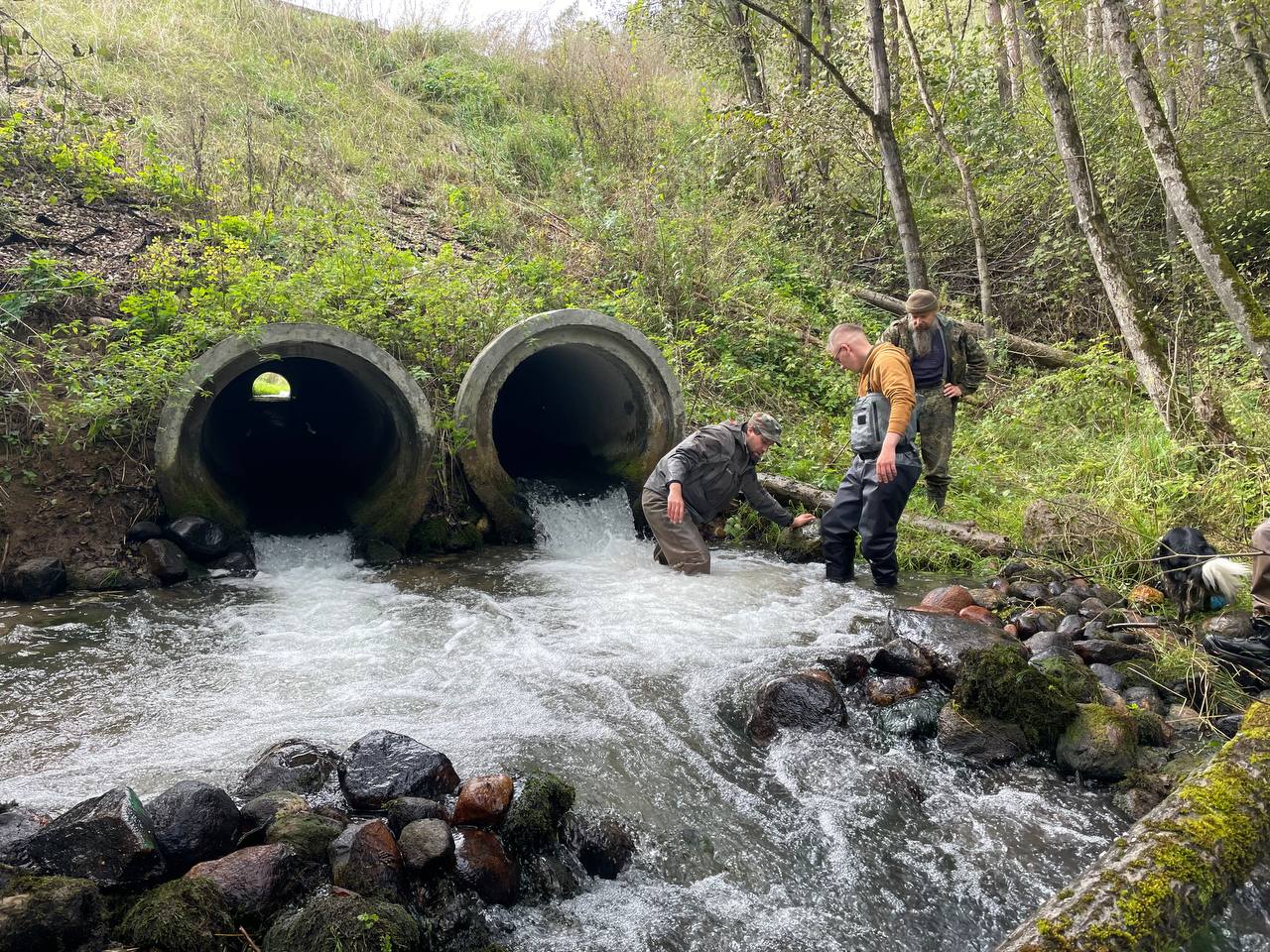 Ð¤Ð¾ÑÐ¾ - Facebook Salmon Protection Project 