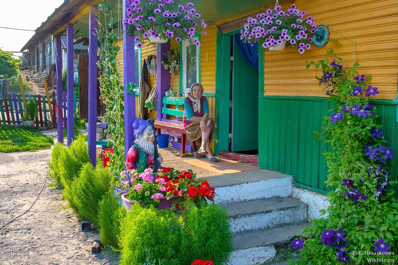 ÐÐµÐ»Ð°ÑÑÑÐºÐ°Ñ Ð²ÑÑÐºÐ°. Ð¤Ð¾ÑÐ° - Ð¡ÑÑÐ³ÐµÐ¹ ÐÐ»ÑÑÐºÐµÐ²ÑÑ