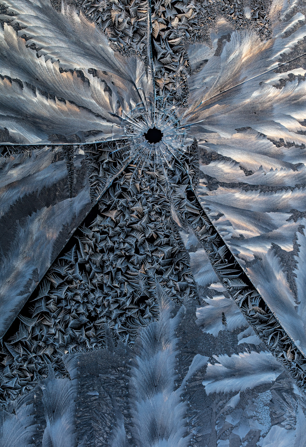 Â«ÐÐ¾Ð¹Ð½Ð° Ð±Ð»Ð¸Ð·ÐºÐ¾Â»  Hannu Ahonen / German Society for Nature Photography