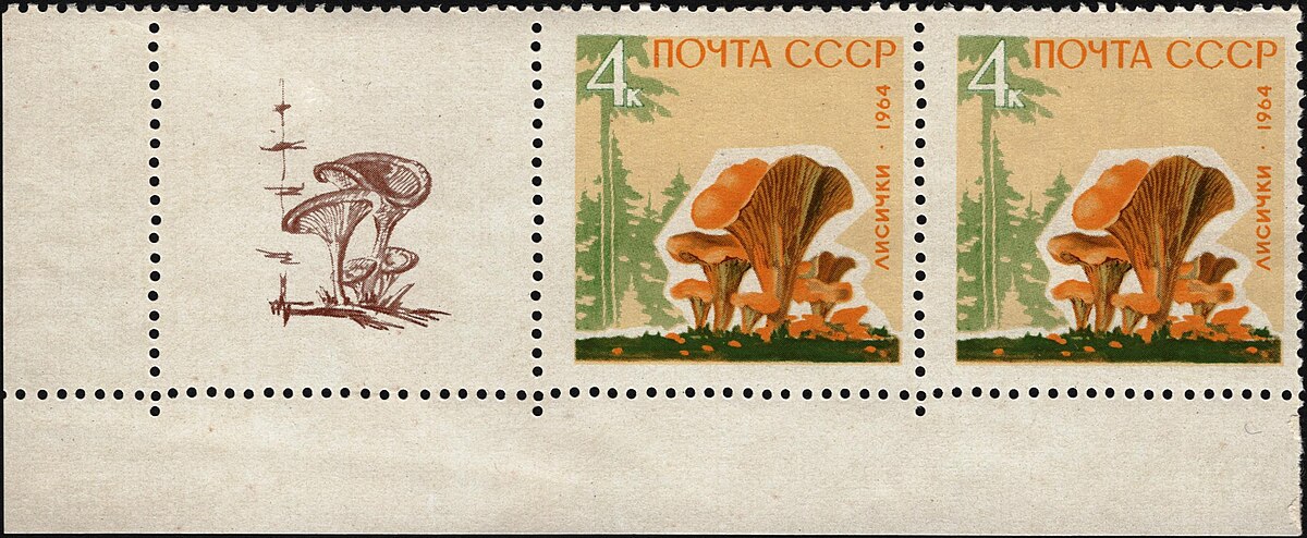 ÐÐ°ÑÐºÐ° Ñ Ð»Ð¸ÑÐ¸ÑÐºÐ¾Ð¹, Ð¡Ð¡Ð¡Ð , 1964 Ð³Ð¾Ð´. Ð¤Ð¾ÑÐ¾ â Matsievsky, ÐÐ¸ÐºÐ¸Ð¿ÐµÐ´Ð¸Ñ