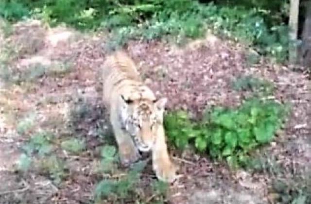 Ð¡ÐºÑÐ¸Ð½ÑÐ¾Ñ Ð¸Ð· Ð²Ð¸Ð´ÐµÐ¾