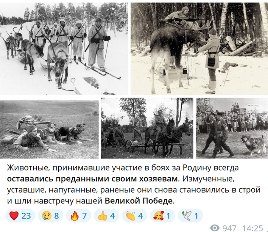 Ð¡ÐºÑÑÐ½ÑÐ¾Ñ Ð¿Ð°ÑÑÐ° Ð· Ð¢Ð-ÐºÐ°Ð½Ð°Ð»Ñ ÐÑÐ¾Ð´Ð·ÐµÐ½ÑÐºÐ°Ð³Ð° Ð·Ð°Ð°Ð¿Ð°ÑÐºÑ