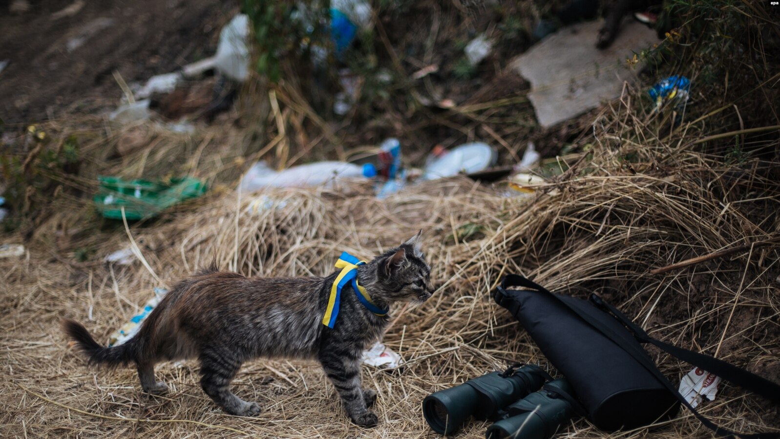 ÐÐ¾ÑÐºÐ° Ñ ÑÐºÑÐ°Ð¸Ð½ÑÐºÐ¾Ð¹ Ð»ÐµÐ½ÑÐ¾Ð¹ Ð½Ð° ÑÐµÐµ Ð² ÑÐ°Ð¹Ð¾Ð½Ðµ Ð³Ð¾ÑÐ¾Ð´Ð° ÐÐ²Ð´ÐµÐµÐ²ÐºÐ°. ÐÐ¾Ð½ÐµÑÐºÐ°Ñ Ð¾Ð±Ð»Ð°ÑÑÑ, 22 Ð°Ð²Ð³ÑÑÑÐ° 2014 Ð³Ð¾Ð´Ð°.
