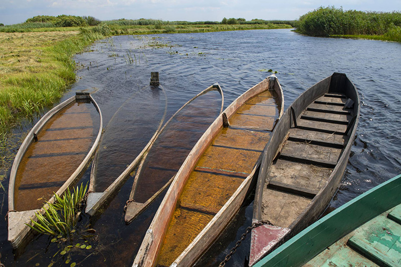 ÐÐ¾Ð»ÐµÑÑÐºÐ¸Ðµ Ð»Ð¾Ð´ÐºÐ¸. Ð¤Ð¾ÑÐ¾ ÐÐ°Ð½Ð¸ÑÐ»Ñ Ð Ð¾Ð·ÐµÐ½Ð³ÑÐµÐ½Ð°, Ð¤ÐÐ¢