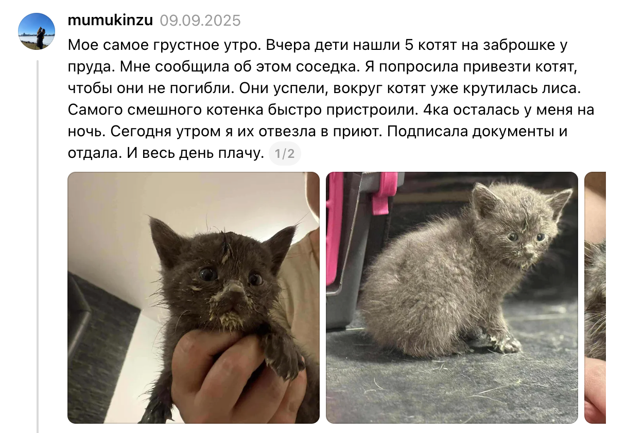 ÐÐ¾Ð¹ Ð¿Ð¾ÑÑ