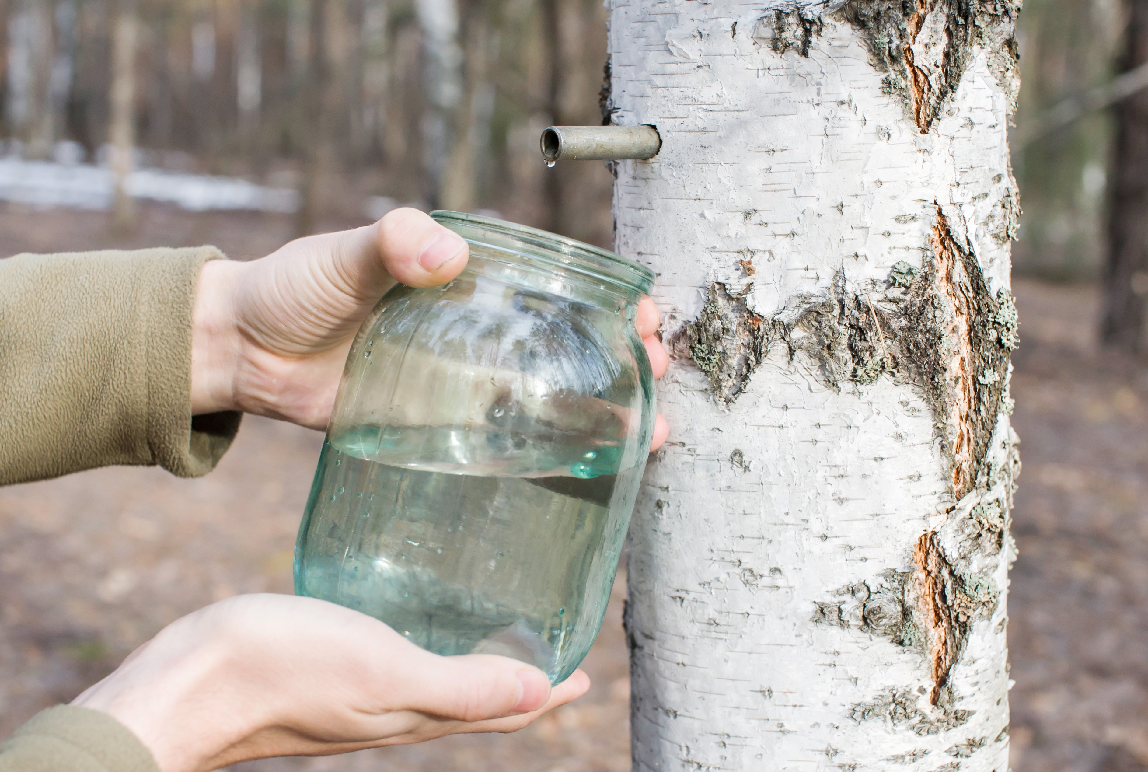 Ð¤Ð¾ÑÐ¾ - Envato
