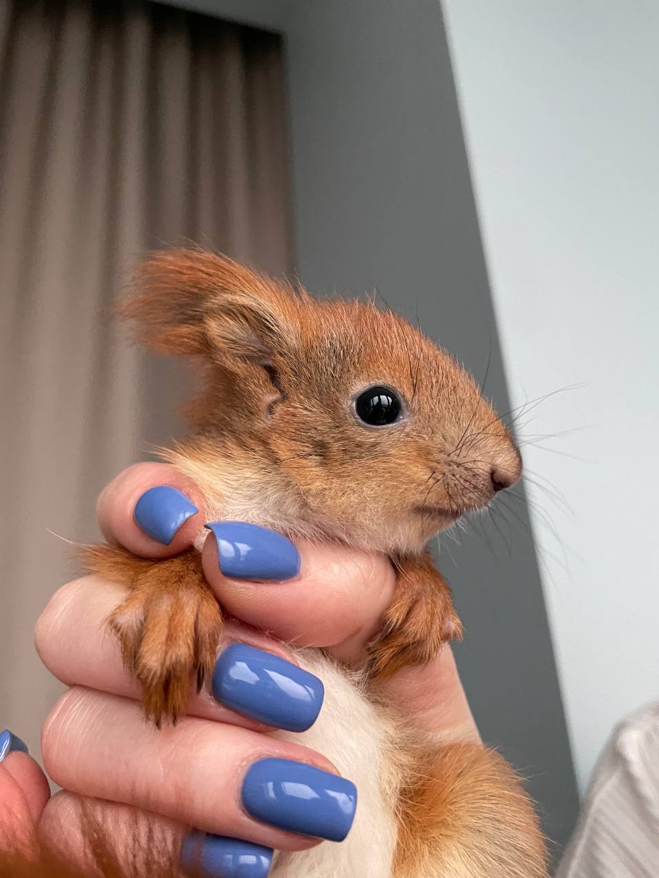 Ð¤Ð¾ÑÐ¾ - Ð¸Ð· Ð°ÑÑÐ¸Ð²Ð° Ð³ÐµÑÐ¾Ð¸Ð½Ð¸