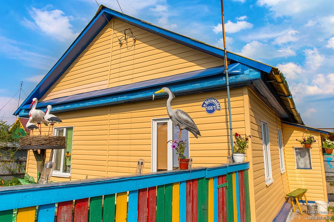 ÐÐµÐ»Ð°ÑÑÑÐºÐ°Ñ Ð²ÑÑÐºÐ°. Ð¤Ð¾ÑÐ° - Ð¡ÑÑÐ³ÐµÐ¹ ÐÐ»ÑÑÐºÐµÐ²ÑÑ