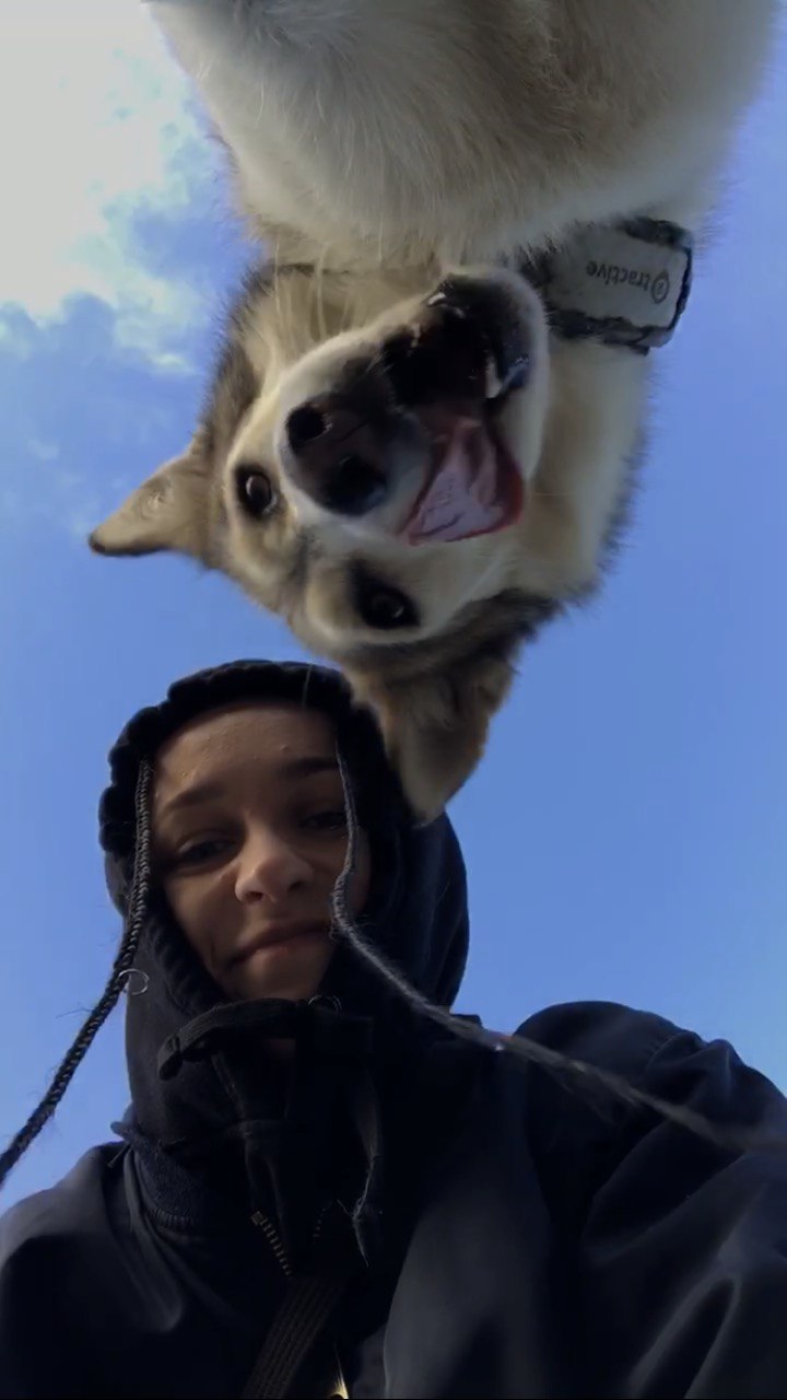 Ð¤Ð¾ÑÐ¾ Ð¸Ð· Ð°ÑÑÐ¸Ð²Ð° Ð³ÐµÑÐ¾Ð¸Ð½Ð¸