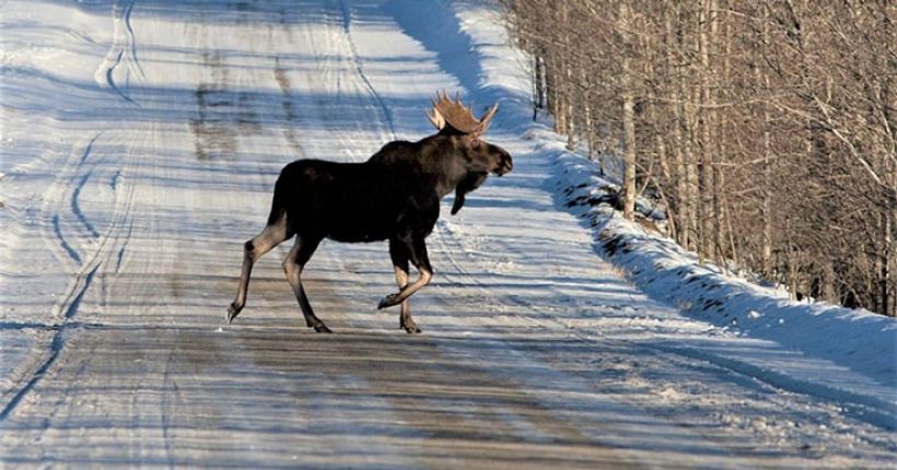 ÐÐ»Ð»ÑÑÑÑÐ°ÑÐ¸Ð²Ð½Ð¾Ðµ Ð¸Ð·Ð¾Ð±ÑÐ°Ð¶ÐµÐ½Ð¸Ðµ