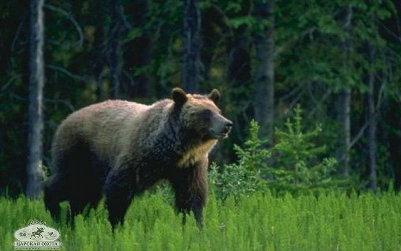 ÐÐ»Ð»ÑÑÑÑÐ°ÑÐ¸Ð²Ð½Ð¾Ðµ Ð¸Ð·Ð¾Ð±ÑÐ°Ð¶ÐµÐ½Ð¸Ðµ