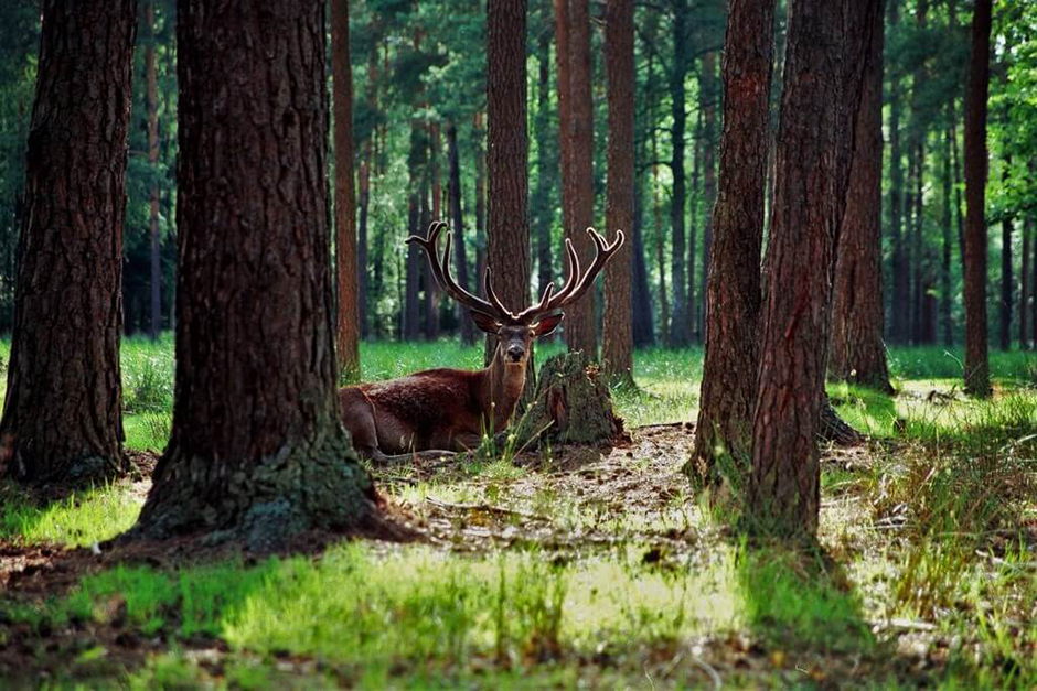 Ð¤Ð¾ÑÐ¾ - visit-belarus.com