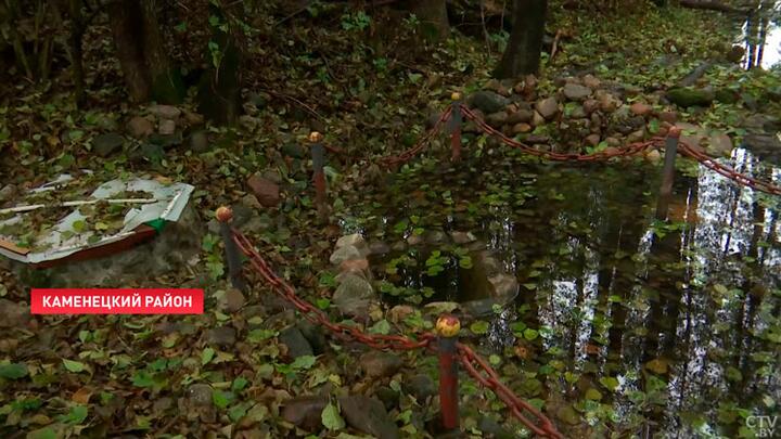 Ð Ð¾Ð´Ð½Ð¸Ðº Ð¡ÐµÑÐµÐ±ÑÑÐ½ÑÐ¹ Ð² Ð°Ð³ÑÐ¾Ð³Ð¾ÑÐ¾Ð´ÐºÐµ ÐÐ³Ð¾ÑÐ¾Ð´Ð½Ð¸ÐºÐ¸ ÐÐ°Ð¼ÐµÐ½ÐµÑÐºÐ¾Ð³Ð¾ ÑÐ°Ð¹Ð¾Ð½Ð°. Ð¡ÐºÑÐ¸Ð½ÑÐ¾Ñ Ð²Ð¸Ð´ÐµÐ¾ Ð¡Ð¢Ð