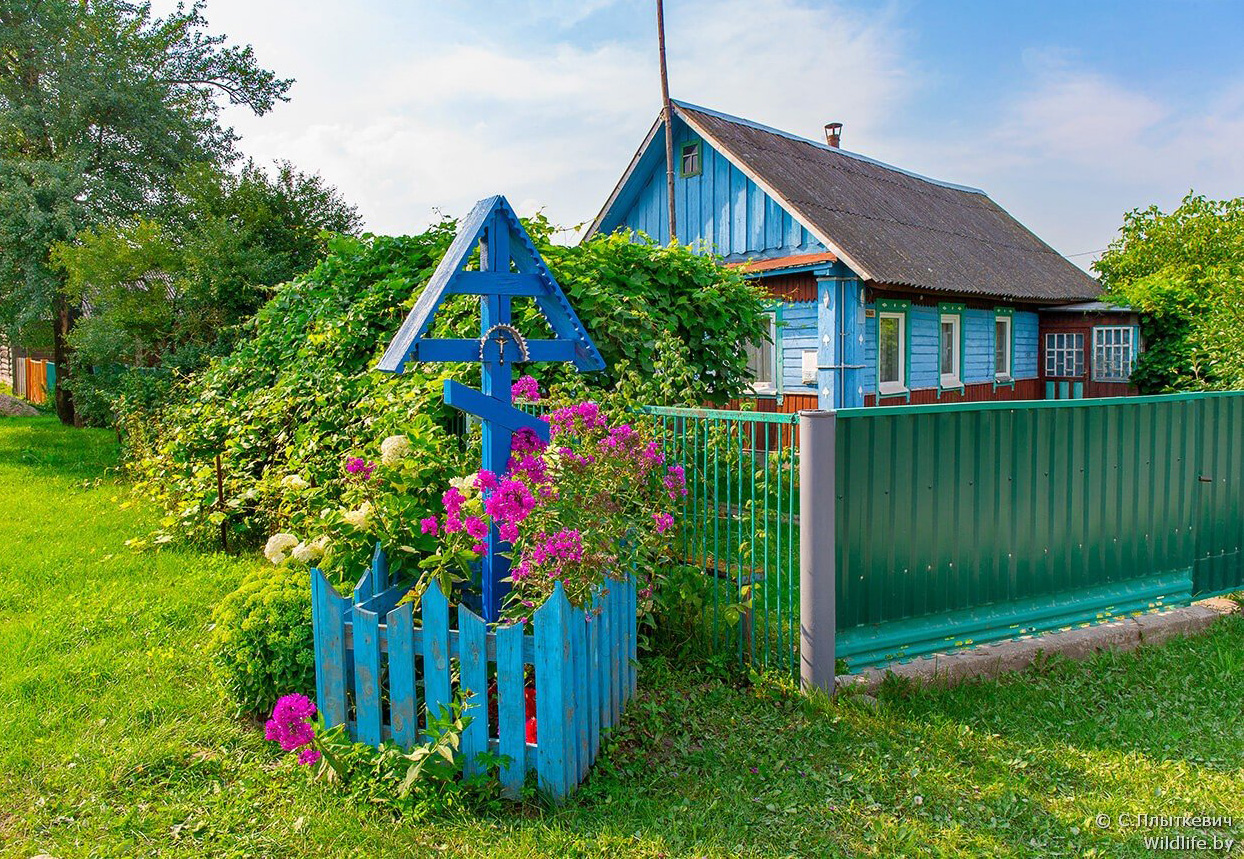 ÐÐµÐ»Ð°ÑÑÑÐºÐ°Ñ Ð²ÑÑÐºÐ°. Ð¤Ð¾ÑÐ° - Ð¡ÑÑÐ³ÐµÐ¹ ÐÐ»ÑÑÐºÐµÐ²ÑÑ