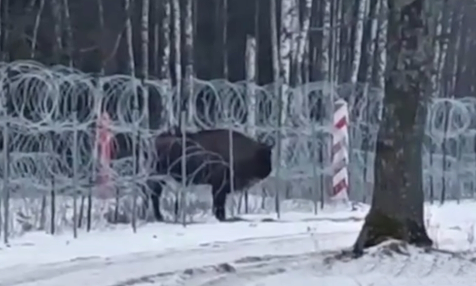 Ð¡ÐºÑÐ¸Ð½ÑÐ¾Ñ Ñ Ð²Ð¸Ð´ÐµÐ¾ Ð¿Ð¾Ð³ÑÐ°Ð½Ð¸ÑÐ½Ð¾Ð¹ ÑÐ»ÑÐ¶Ð±Ñ ÐÐ¾Ð»ÑÑÐ¸