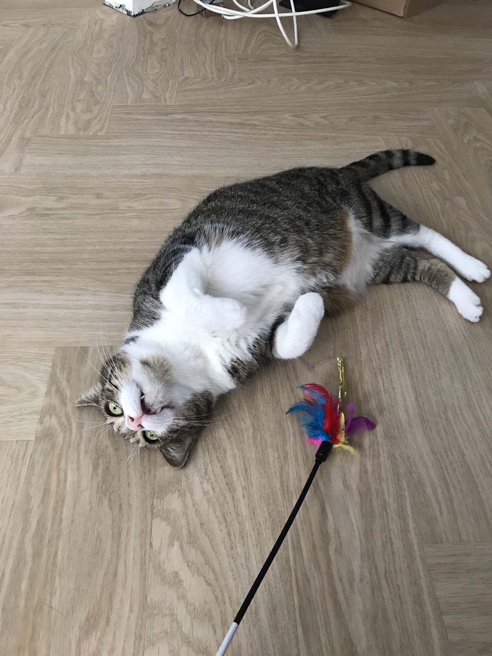 Ð¤Ð¾ÑÐ¾ Ð¸Ð· Ð°ÑÑÐ¸Ð²Ð° Ð³ÐµÑÐ¾Ð¸Ð½Ð¸