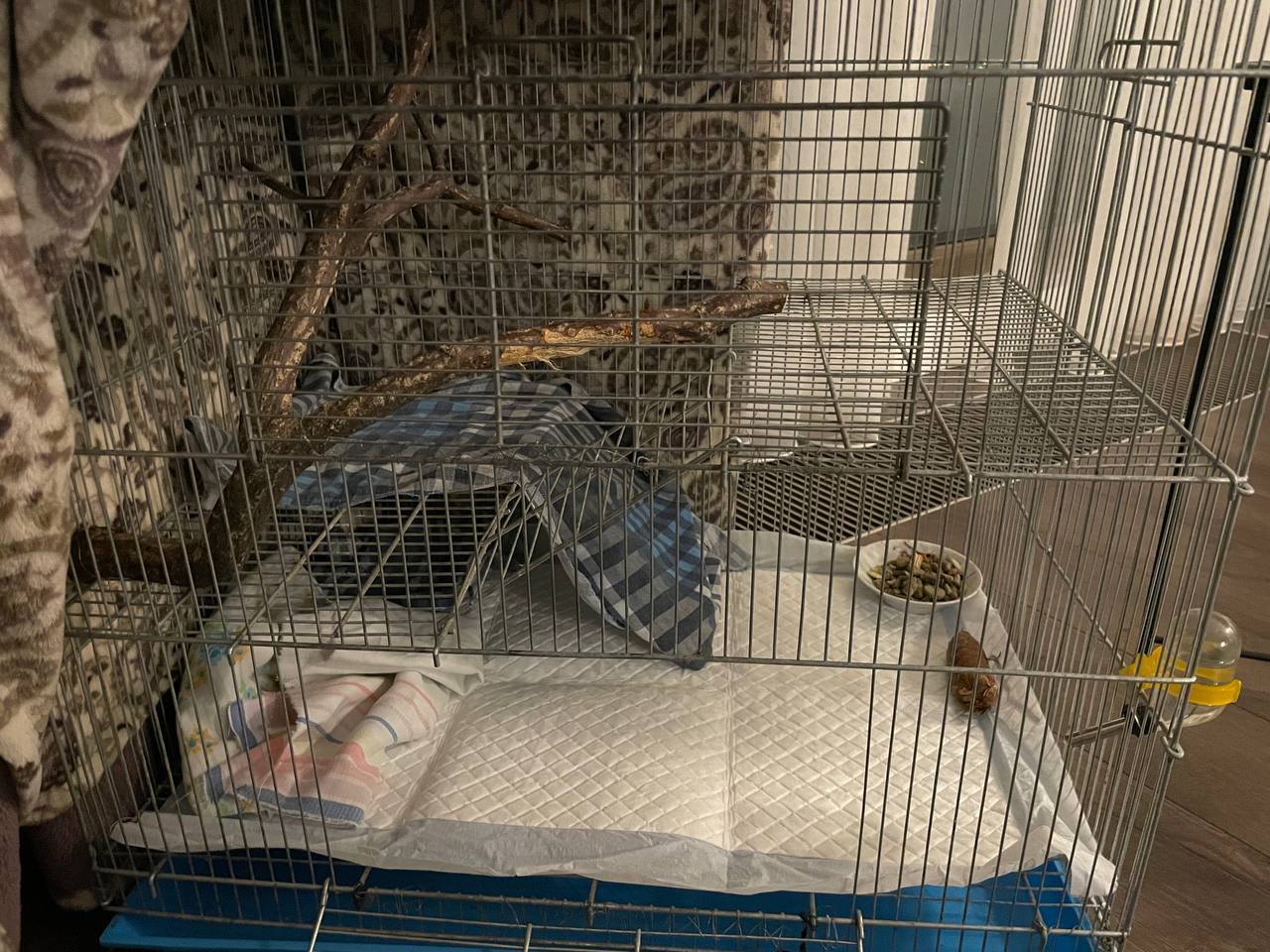 Ð¤Ð¾ÑÐ¾ - Ð¸Ð· Ð°ÑÑÐ¸Ð²Ð° Ð³ÐµÑÐ¾Ð¸Ð½Ð¸