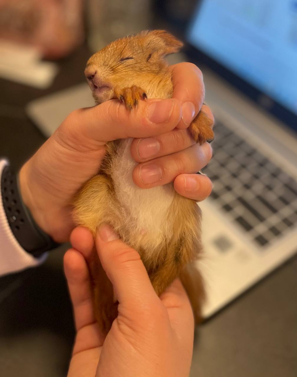 Ð¤Ð¾ÑÐ¾ - Ð¸Ð· Ð°ÑÑÐ¸Ð²Ð° Ð³ÐµÑÐ¾Ð¸Ð½Ð¸