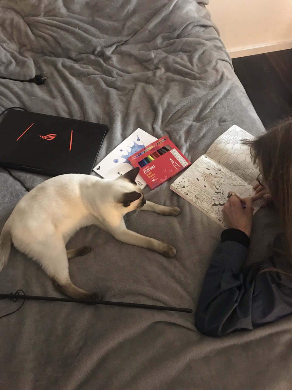 Ð¤Ð¾ÑÐ¾ Ð¸Ð· Ð°ÑÑÐ¸Ð²Ð° Ð³ÐµÑÐ¾Ð¸Ð½Ð¸