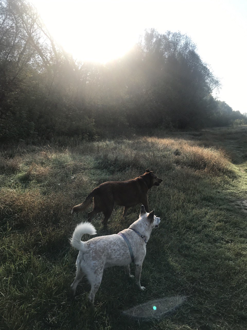 Ð¤Ð¾ÑÐ¾ Ð¸Ð· Ð°ÑÑÐ¸Ð²Ð° Ð³ÐµÑÐ¾Ð¸Ð½Ð¸