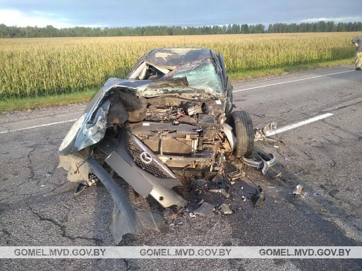 ÐÐµÐ³ÐºÐ¾Ð²ÑÑÐºÐ° Ð¿Ð¾ÑÐ»Ðµ ÐÐ¢Ð Ñ Ð»Ð¾ÑÐµÐ¼. Ð¤Ð¾ÑÐ¾ - ÐÐÐ