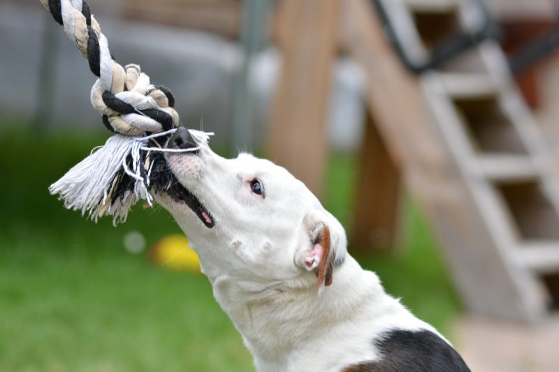 Ð¤Ð¾ÑÐ¾: iStock.com