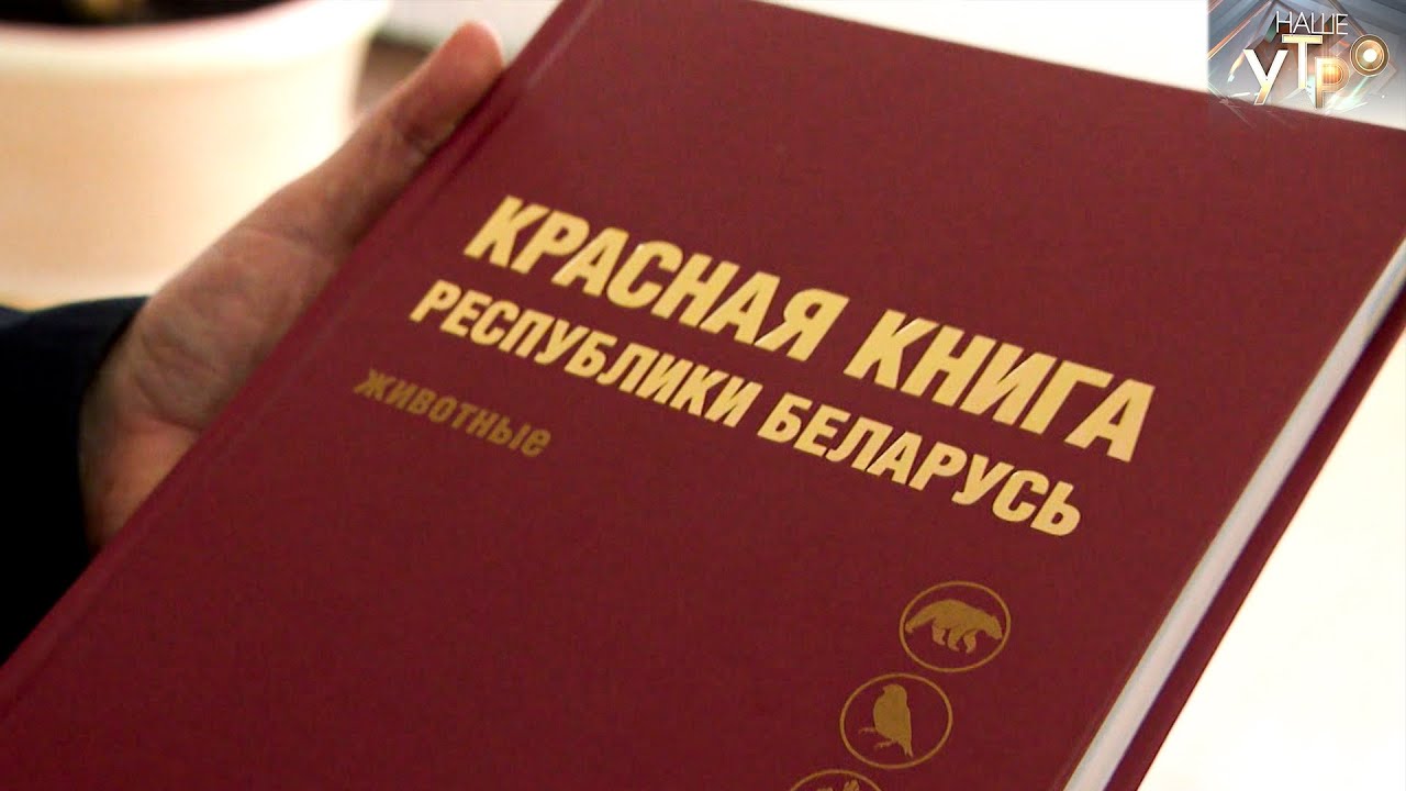 ÐÑÐ°ÑÐ½Ð°Ñ ÐºÐ½Ð¸Ð³Ð° ÐÐµÐ»Ð°ÑÑÑÐ¸