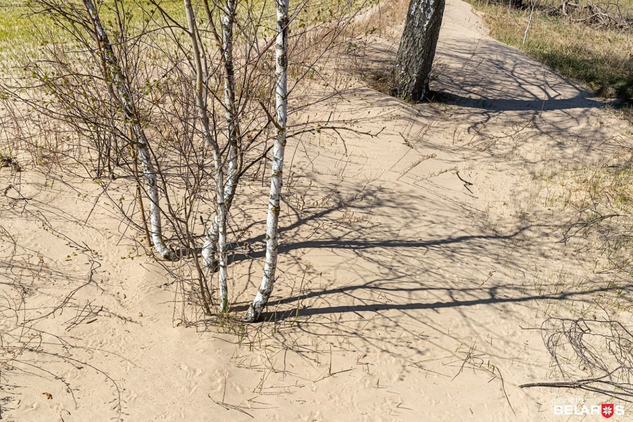 Ð¤Ð¾ÑÐ¾ - Ð¡ÐµÑÐ³ÐµÐ¹ ÐÐ»ÑÑÐºÐµÐ²Ð¸Ñ, ÐÐ»Ð°Ð½ÐµÑÐ° ÐÐµÐ»Ð°ÑÑÑÑ