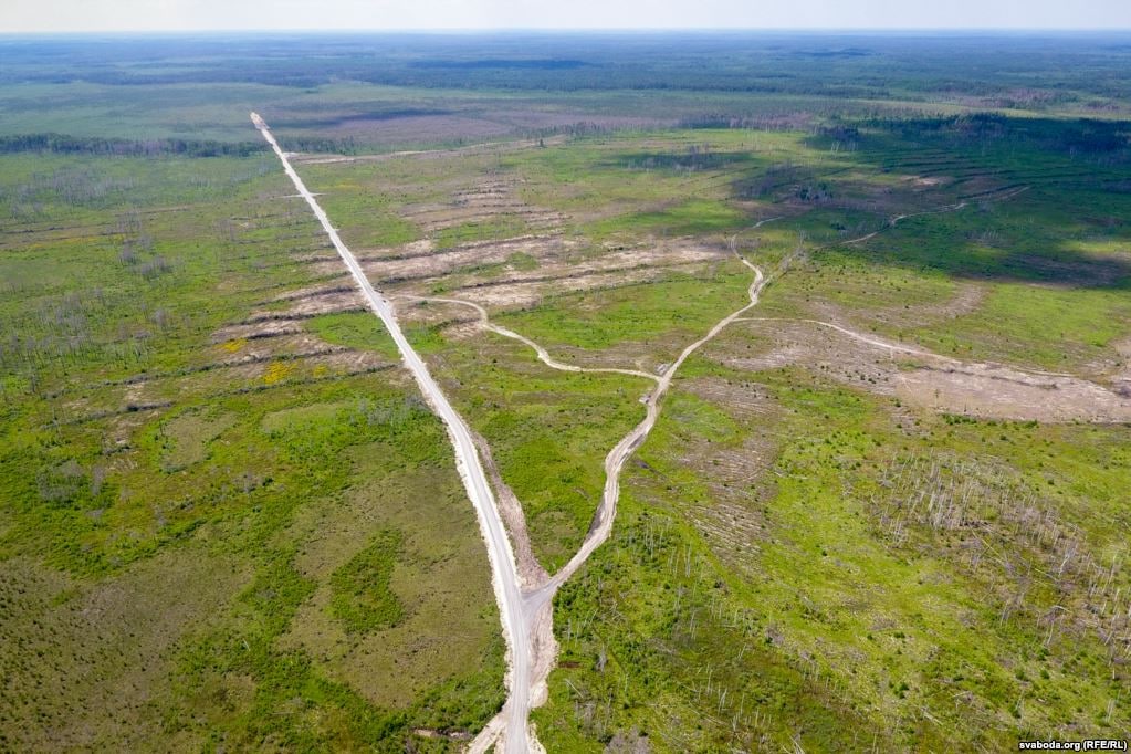 ÐÐ¾ÑÐ¾Ð³Ð¸ Ð² Â«ÑÐµÑÐ´ÑÐµÂ» ÐºÑÑÐ¿Ð½ÐµÐ¹ÑÐµÐ³Ð¾ Ð»ÐµÑÐ¾-Ð±Ð¾Ð»Ð¾ÑÐ½Ð¾Ð³Ð¾ ÐºÐ¾Ð¼Ð¿Ð»ÐµÐºÑÐ° ÐÐ¾Ð»ÐµÑÑÑ Â«ÐÐ»ÑÐ¼Ð°Ð½ÑÐºÐ¸Ðµ Ð±Ð¾Ð»Ð¾ÑÐ°Â» Ð¤Ð¾ÑÐ¾: ÐÑÐ¾Ð²Ð° Ð¿ÑÑÑÐ°Ðº ÐÐ°ÑÑÐºÐ°ÑÑÑÑÐ½Ñ