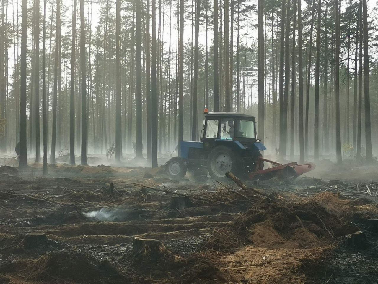 Ð¤Ð¾ÑÐ¾ - Ð¢Ð-ÐºÐ°Ð½Ð°Ð» ÐÐ¸Ð½ÑÐ»ÐµÑÑÐ¾Ð·Ð°