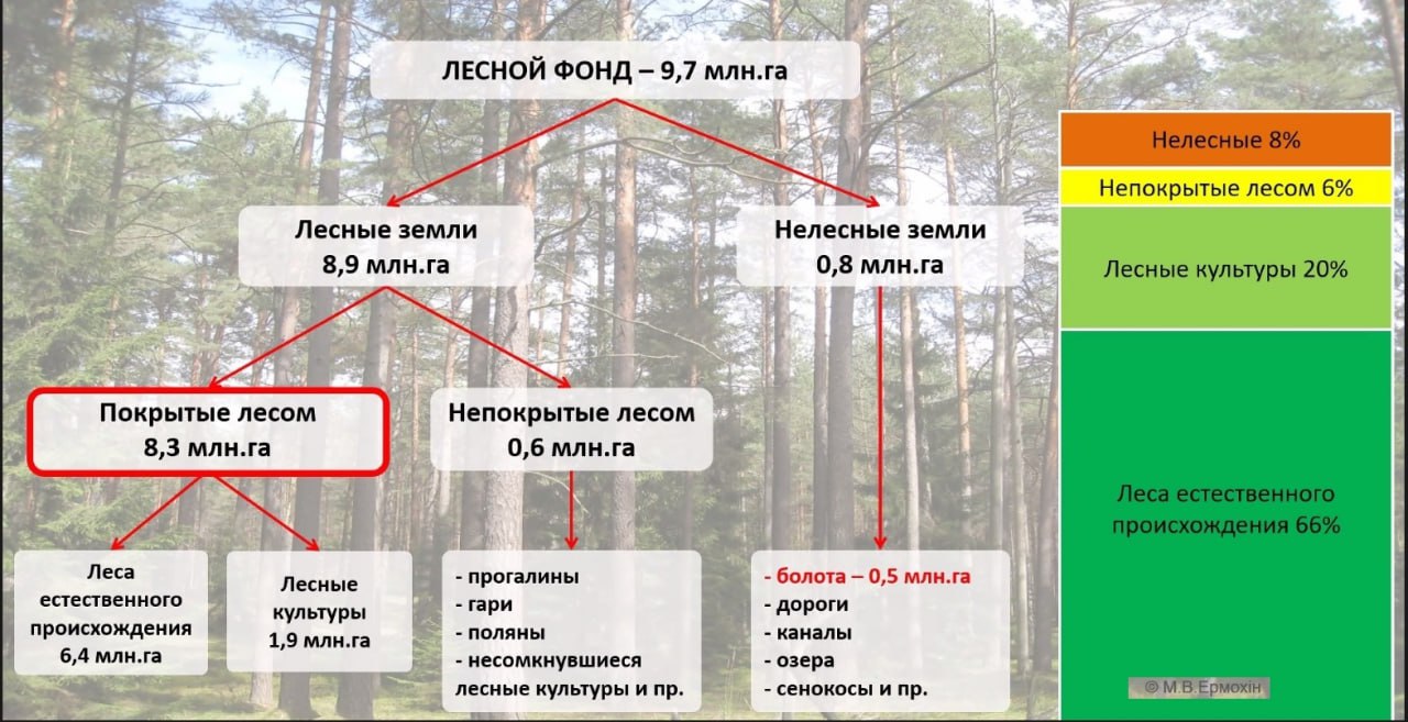 ÐÐµÑÐ½Ð¾Ð¹ ÑÐ¾Ð½Ð´ ÐÐµÐ»Ð°ÑÑÑÐ¸. ÐÐ· Ð¿ÑÐµÐ·ÐµÐ½ÑÐ°ÑÐ¸Ð¸ ÐºÐ°Ð½Ð´Ð¸Ð´Ð°ÑÐ° Ð±Ð¸Ð¾Ð»Ð¾Ð³Ð¸ÑÐµÑÐºÐ¸Ñ Ð½Ð°ÑÐº ÐÐ°ÐºÑÐ¸Ð¼Ð° ÐÑÐ¾Ð¼Ð¾ÑÐ¸Ð½Ð°