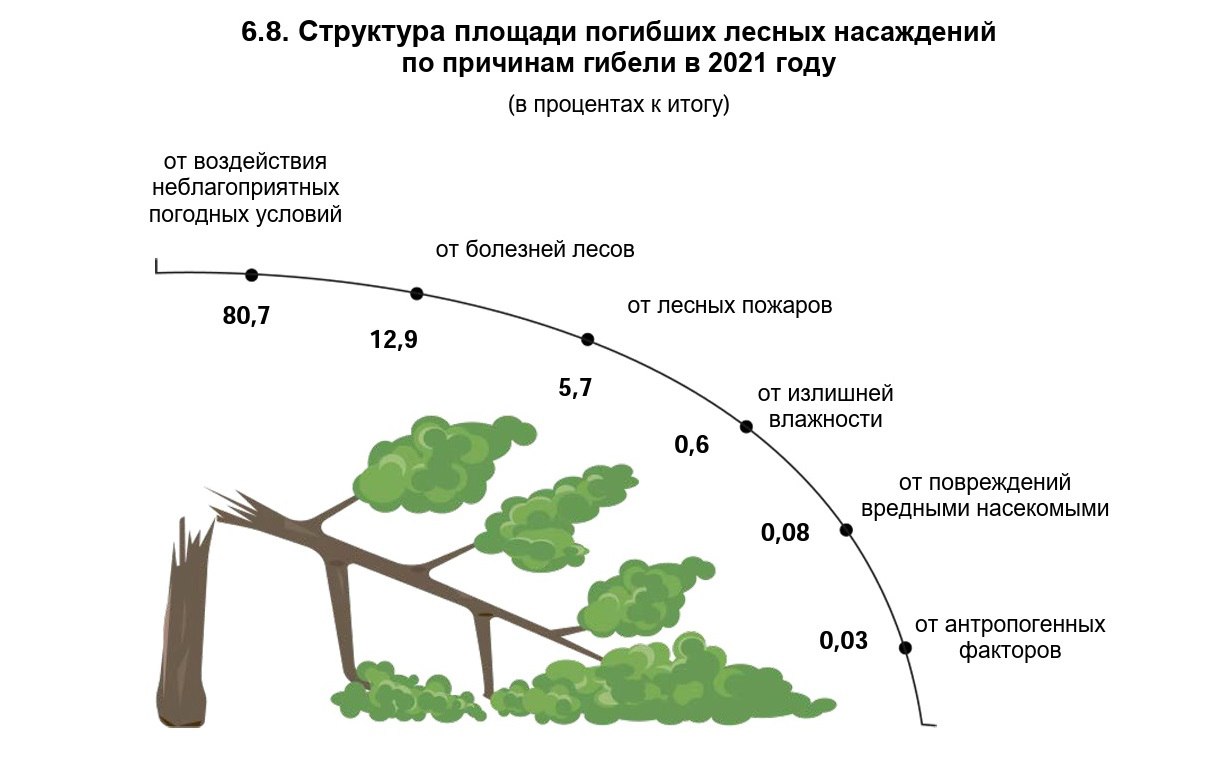 ÐÐ¸Ð±ÐµÐ»Ñ Ð»ÐµÑÐ° Ð¿Ð¾ ÑÐ°Ð·Ð»Ð¸ÑÐ½ÑÐ¼ Ð¿ÑÐ¸ÑÐ¸Ð½Ð°Ð¼. Ð¡ÑÐ°ÑÐ¸ÑÑÐ¸ÑÐµÑÐºÐ¸Ð¹ Ð±ÑÐºÐ»ÐµÑ Â«ÐÑÑÐ°Ð½Ð° Ð¾ÐºÑÑÐ¶Ð°ÑÑÐµÐ¹ ÑÑÐµÐ´Ñ Ð² Ð ÐµÑÐ¿ÑÐ±Ð»Ð¸ÐºÐµ ÐÐµÐ»Ð°ÑÑÑÑ. ÐÐ°ÑÐ¸Ð¾Ð½Ð°Ð»ÑÐ½ÑÐ¹ ÑÑÐ°ÑÐ¸ÑÑÐ¸ÑÐµÑÐºÐ¸Ð¹ ÐºÐ¾Ð¼Ð¸ÑÐµÑ Ð ÐµÑÐ¿ÑÐ±Ð»Ð¸ÐºÐ¸ ÐÐµÐ»Ð°ÑÑÑÑ, ÐÐ¸Ð½ÑÐº, 2022.