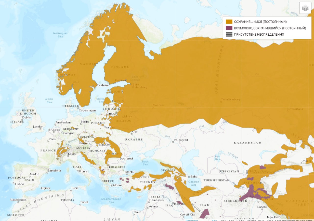 ÐÑÐµÐ°Ð» Ð ÑÑÐ¸ Ð² ÐÐ²ÑÐ°Ð·Ð¸Ð¸