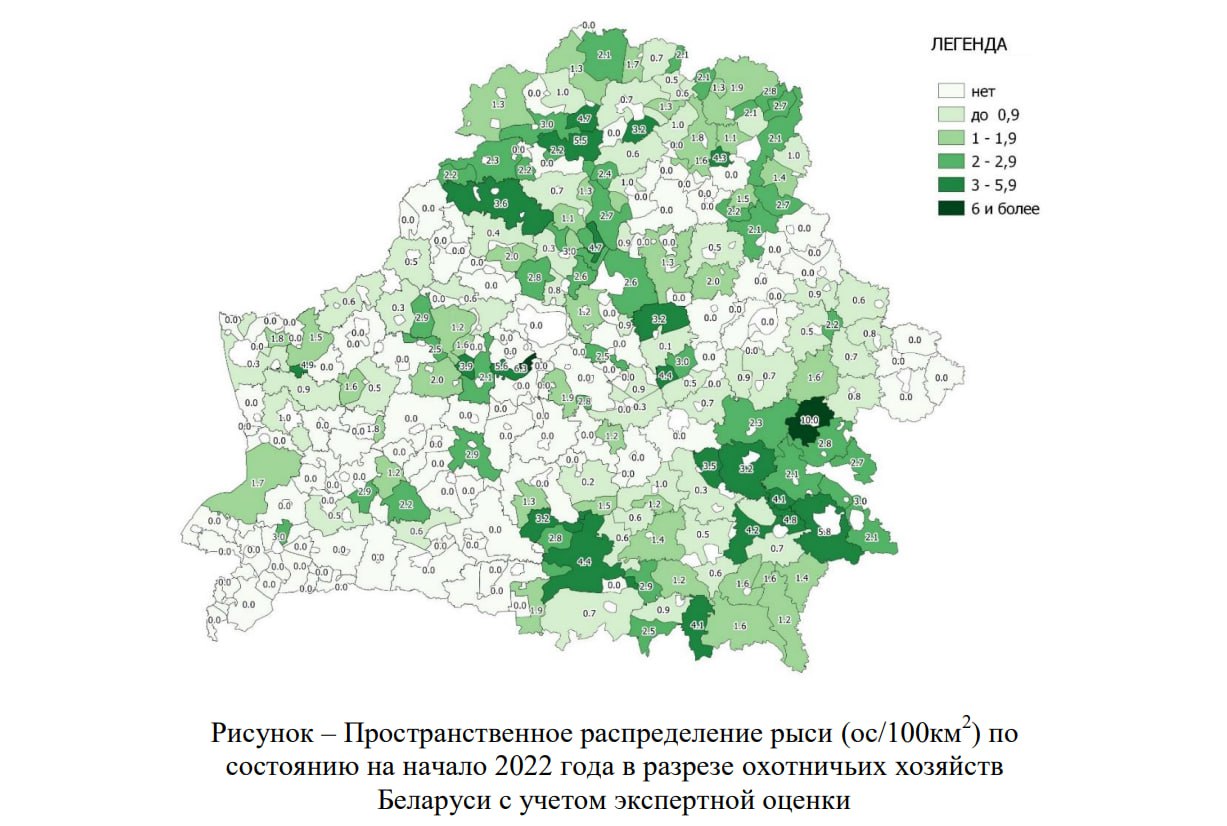 Ð Ð°ÑÐ¿ÑÐµÐ´ÐµÐ»ÐµÐ½Ð¸Ðµ ÑÑÑÐ¸ Ð¿Ð¾ ÑÐµÑÑÐ¸ÑÐ¾ÑÐ¸Ð¸ ÐÐµÐ»Ð°ÑÑÑÐ¸ (Ð. Ð¡Ð¾Ð»Ð¾Ð²ÐµÐ¹, Ð. Ð¨Ð°ÐºÑÐ½, Ð. ÐÐ°ÑÑÐµÐ½ÐºÐ¾, 2023)