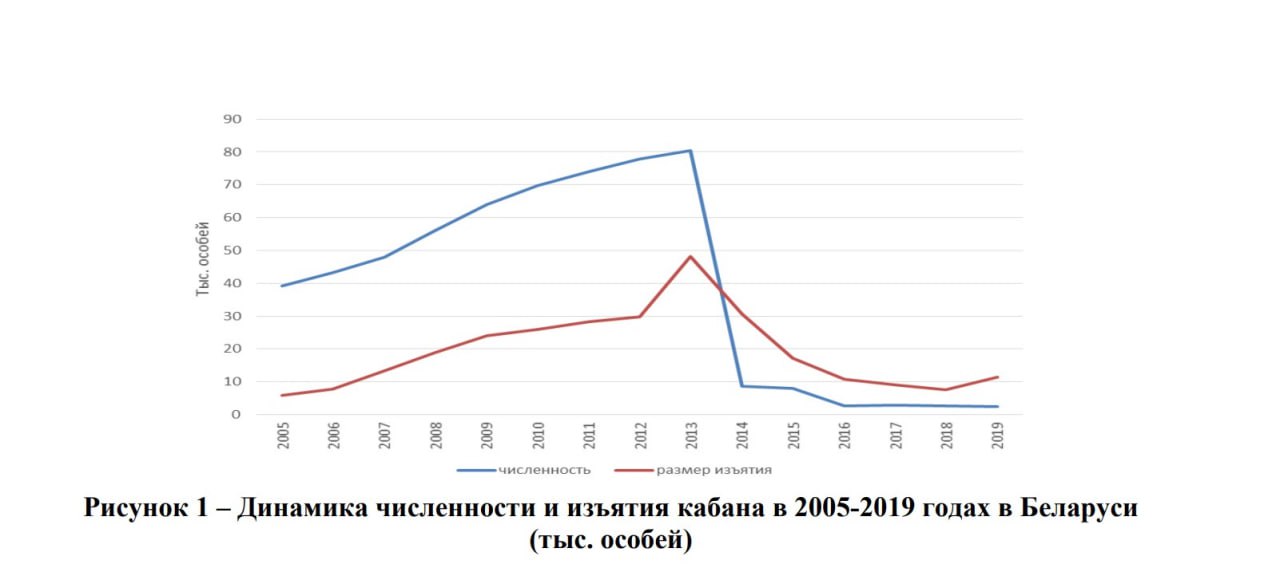 Ð§Ð¸ÑÐ»ÐµÐ½Ð½Ð¾ÑÑÑ Ð¸ Ð´Ð¾Ð±ÑÑÐ° Ð´Ð¸ÐºÐ¾Ð³Ð¾ ÐºÐ°Ð±Ð°Ð½Ð°. ÐÐ»Ð°Ð½ ÑÐ¿ÑÐ°Ð²Ð»ÐµÐ½Ð¸Ñ.