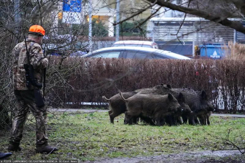 ÐÐ¸ÐºÐ¸Ðµ ÐºÐ°Ð±Ð°Ð½Ñ Ð² ÐÐ¾Ð»ÑÑÐµ