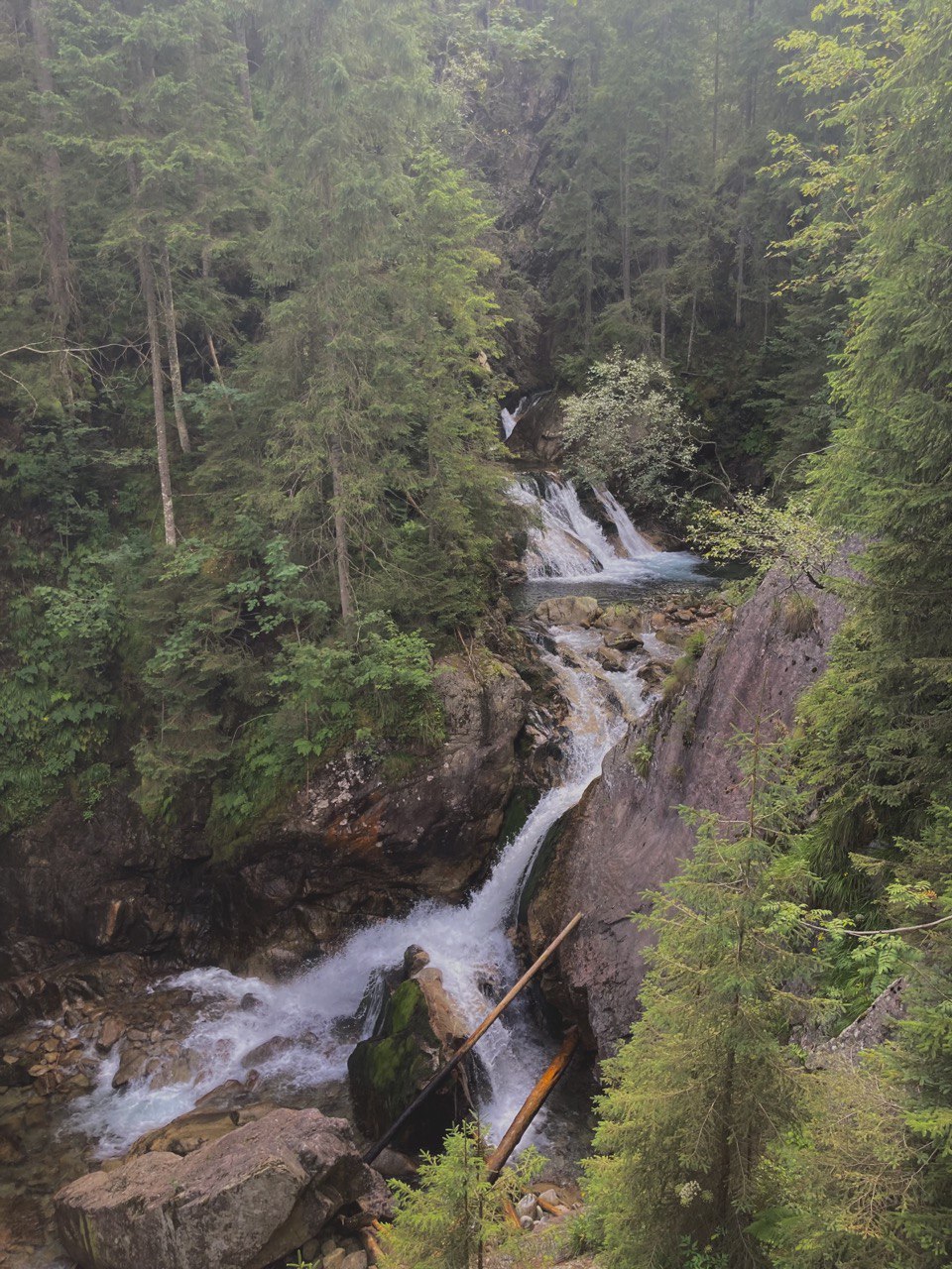 Ð¢Ð°ÑÑÑ. Ð¤Ð¾ÑÐ° - Ð°ÑÑÐ°ÑÐºÑ