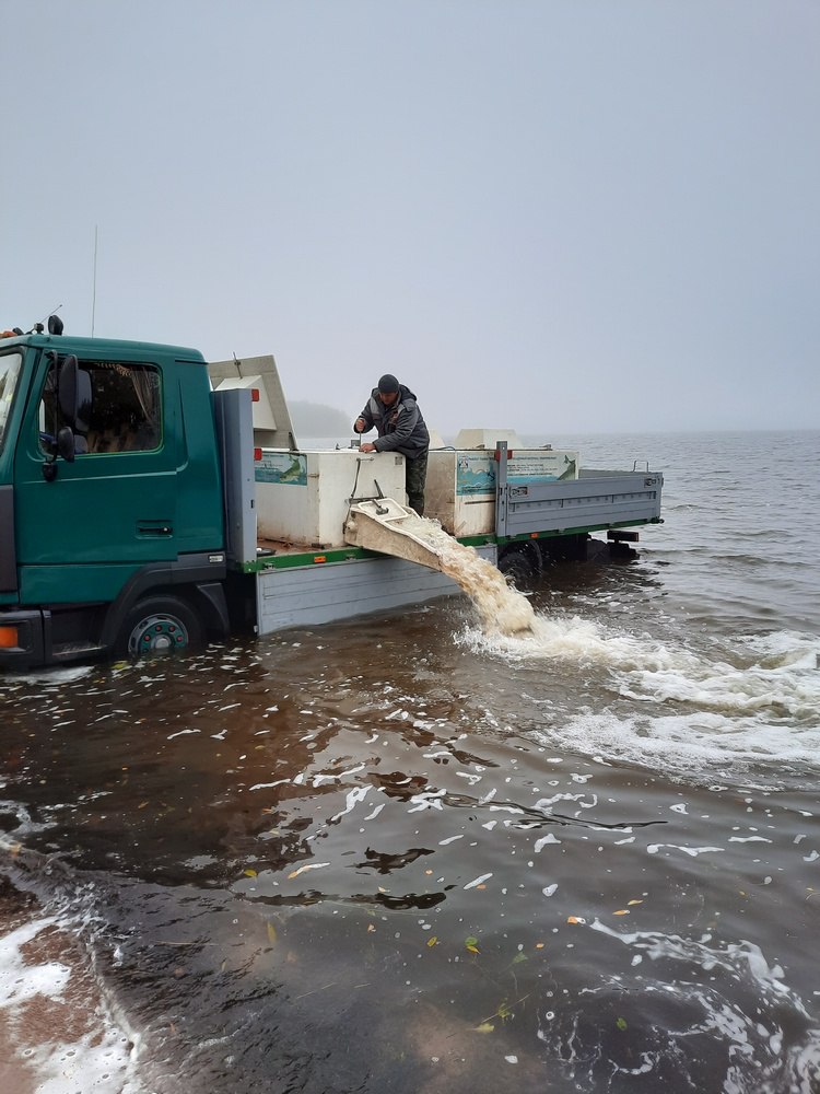 Â ÐÐ°ÑÑÐ±Ð»ÐµÐ½Ð¸Ðµ Ð¾Ð·ÐµÑÐ° ÐÐ¾Ð»ÑÑÐ¸Ðµ Ð¨Ð²Ð°ÐºÑÑÑ ÐºÐ°ÑÐ¿Ð¾Ð¼ Ð¸ ÑÑÐºÐ¾Ð¹