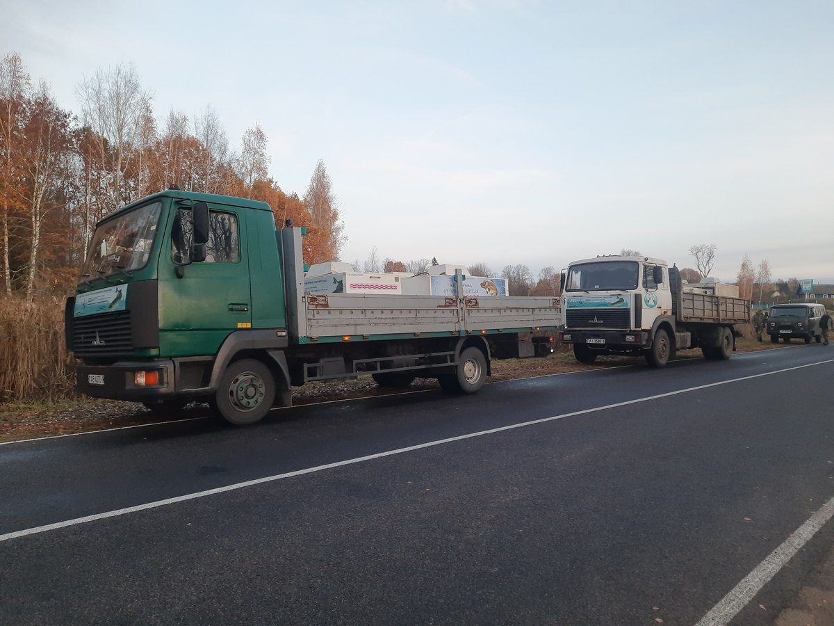 ÐÐ¾ÑÑÐ°Ð²ÐºÐ° ÑÑÐ±Ñ Ð´Ð»Ñ Ð·Ð°ÑÑÐ±Ð»ÐµÐ½Ð¸Ñ Ð¾Ð·ÐµÑ Ð² ÐÐ°ÑÐ¿Ð°ÑÐºÐµ Â«ÐÐ°ÑÐ¾ÑÐ°Ð½ÑÐºÐ¸Ð¹Â» Ð¾ÑÐµÐ½ÑÑ Ð² 2024 Ð³Ð¾Ð´Ð°