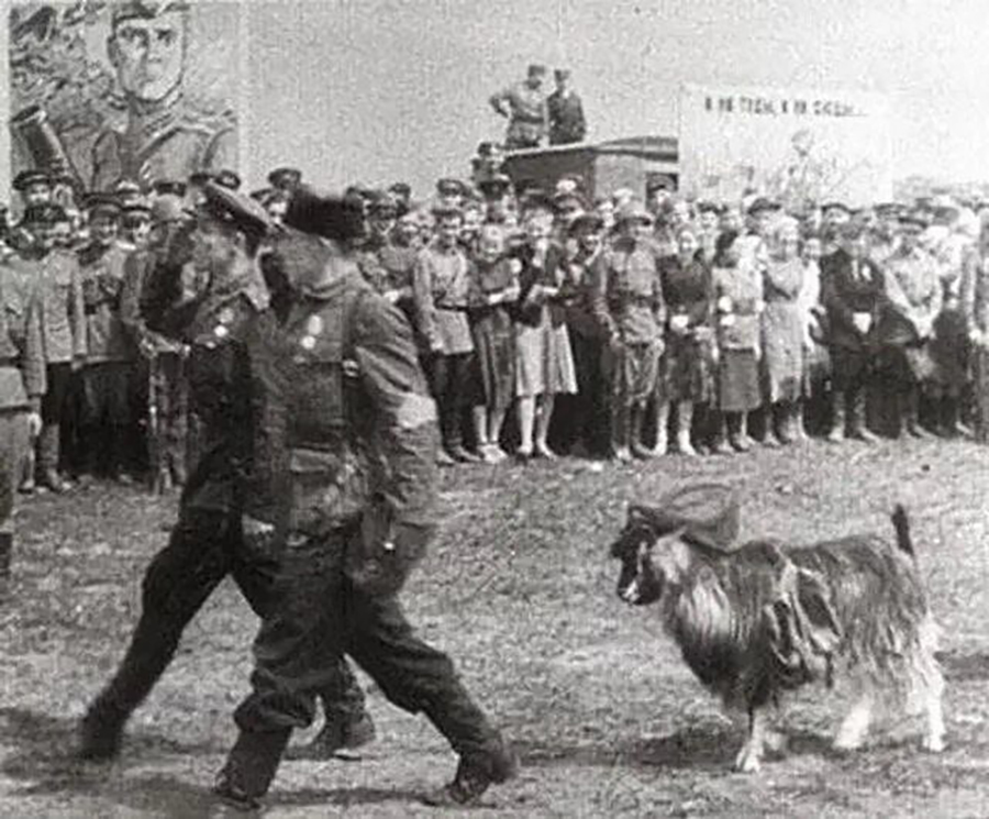 ÐÐ°Ð·ÑÐ» ÐÐ°Ð»ÑÑ Ð½Ð° Ð¿Ð°ÑÐ°Ð´Ð·Ðµ 1944 Ð³Ð¾Ð´Ð°