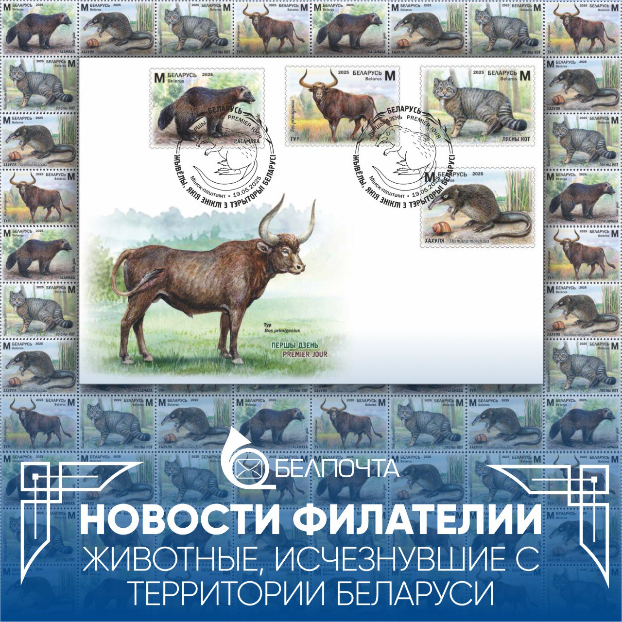 Ð¤Ð¾ÑÐ° - ÐÐµÐ»Ð¿Ð¾ÑÑÐ°