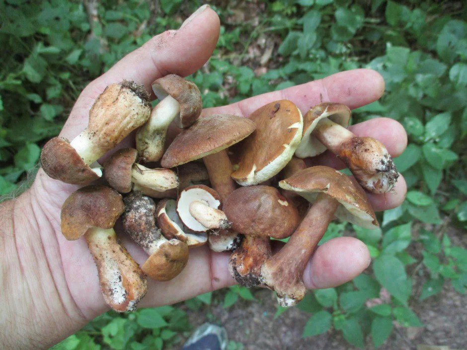 ÐÐ»Ð»ÑÑÑÑÐ°ÑÐ¸Ð²Ð½Ð¾Ðµ Ð¸Ð·Ð¾Ð±ÑÐ°Ð¶ÐµÐ½Ð¸Ðµ