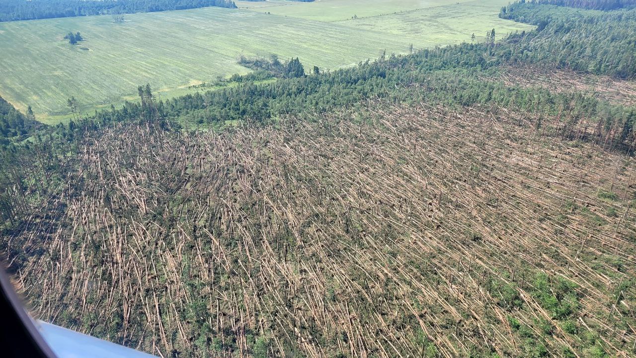 ÐÐ¾Ð²Ð°Ð»ÐµÐ½Ð½ÑÐ¹ Ð¿Ð¾ÑÐ»Ðµ ÑÑÐ³Ð°Ð½Ð½Ð¾Ð³Ð¾ Ð²ÐµÑÑÐ° Ð»ÐµÑ. Ð¤Ð¾ÑÐ¾ - Ð¢Ð-ÐºÐ°Ð½Ð°Ð» ÐÐ¸Ð½Ð»ÐµÑÑÐ¾Ð·Ð°