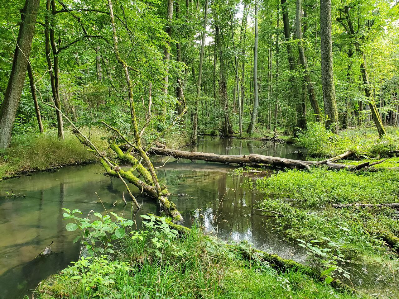 ÐÐµÑ Ð² Ð­Ð±ÐµÑÑÐ²Ð°Ð»ÑÐ´Ðµ. Ð¤Ð¾ÑÐ¾: Ð¢Ð°ÑÑÑÐ½Ð° ÐÐµÐ½Ð´ÐµÐ»Ñ