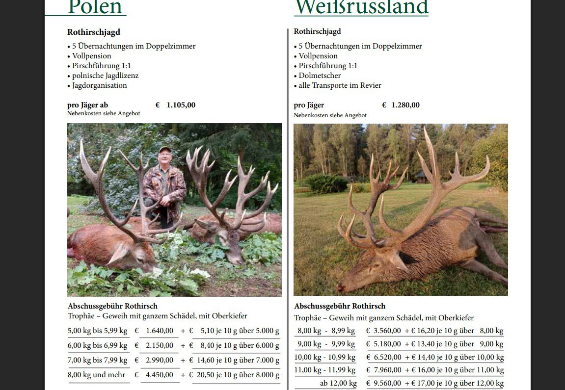 ÐÑÐ°Ð¹ÑÐ»Ð¸ÑÑ Ð¾ÑÐ¾ÑÑ Ð½Ð° Ð¾Ð»ÐµÐ½Ñ Ð² ÐÐ¾Ð»ÑÑÐµ Ð¸ ÐÐµÐ»Ð°ÑÑÑÐ¸