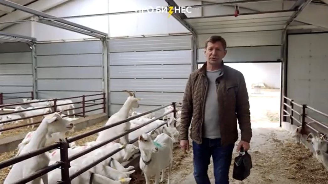 ÐÐ¼Ð¸ÑÑÐ¸Ð¹ ÐÑÑÐ»Ð¾Ð² Ð½Ð° ÑÐ²Ð¾ÐµÐ¹ ÐºÐ¾Ð·ÑÐµÐ¹ ÑÐµÑÐ¼Ðµ