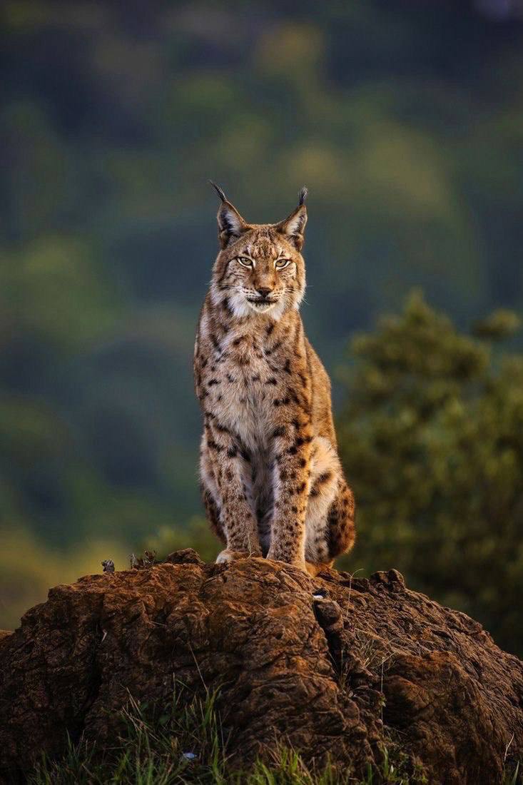 ÐÐ»ÑÑÑÑÐ°ÑÑÑÐ½Ð°Ðµ ÑÐ¾ÑÐ°